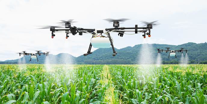 Precision Agriculture AI