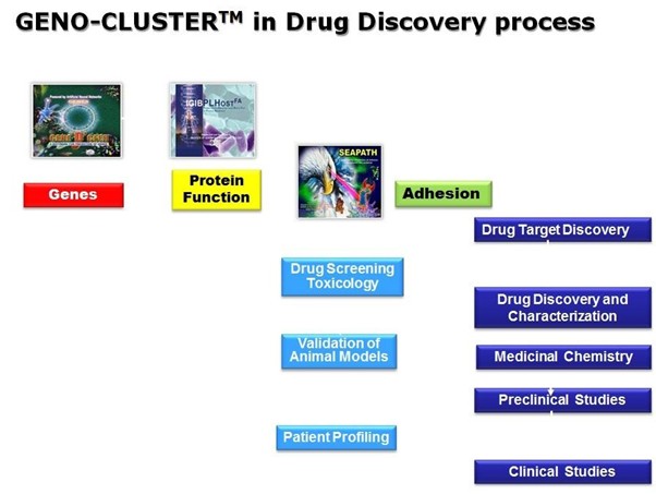 Geno-Cluster Drug Discovery Process Diagram