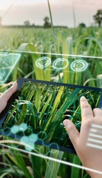 Computer Vision Fundamentals